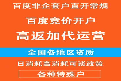 网络推广秘籍：竞价排名成功案例集锦